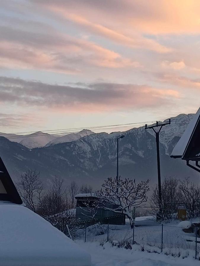 Domek Na Gorce Zakopane Eksteriør billede